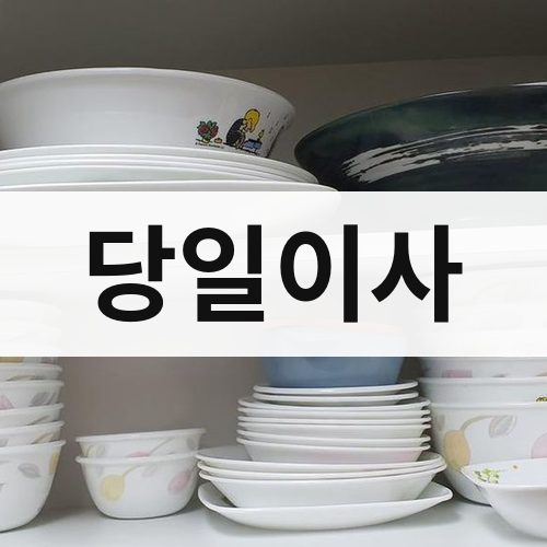 강원 영서 당일이사 포장이사